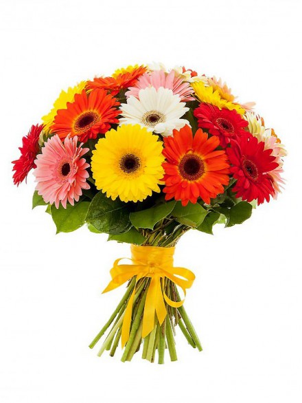 Купить цветы герберы в москве лучшая доставка цветов по санкт петербургу